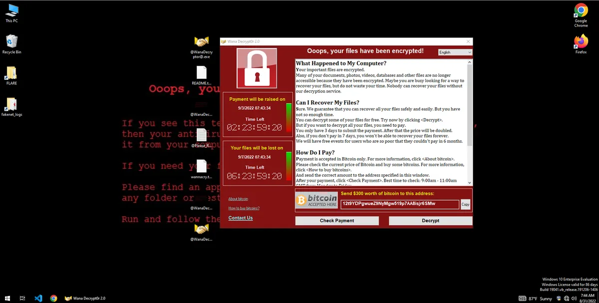WannaCry: A Brief Analysis